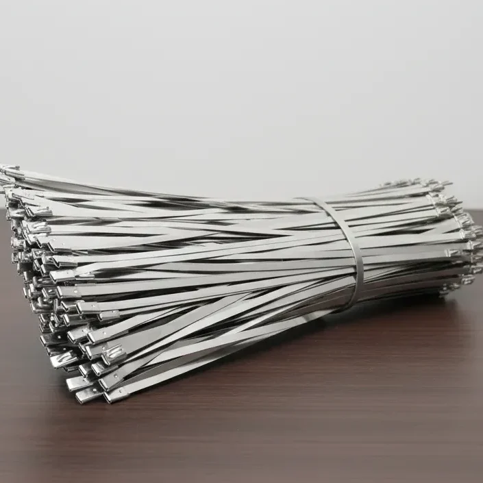 SS Cable Ties